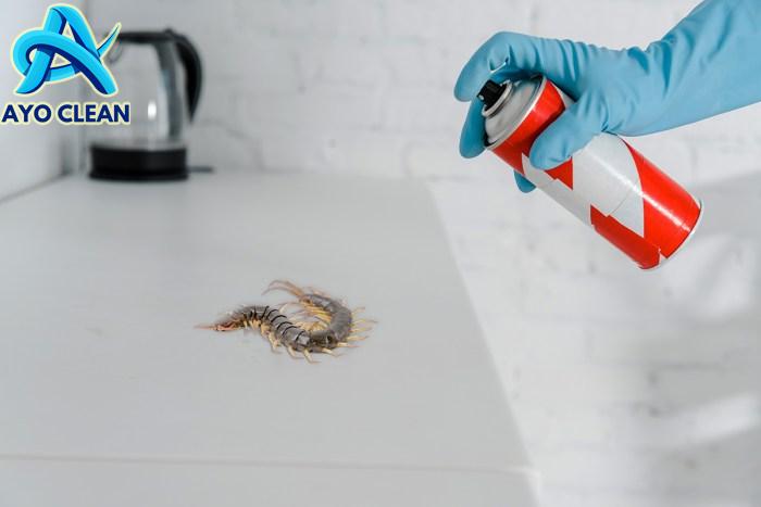 6 Tips Mengusir Kelabang di Kamar Mandi dengan Bahan Kimia dan Alami ...