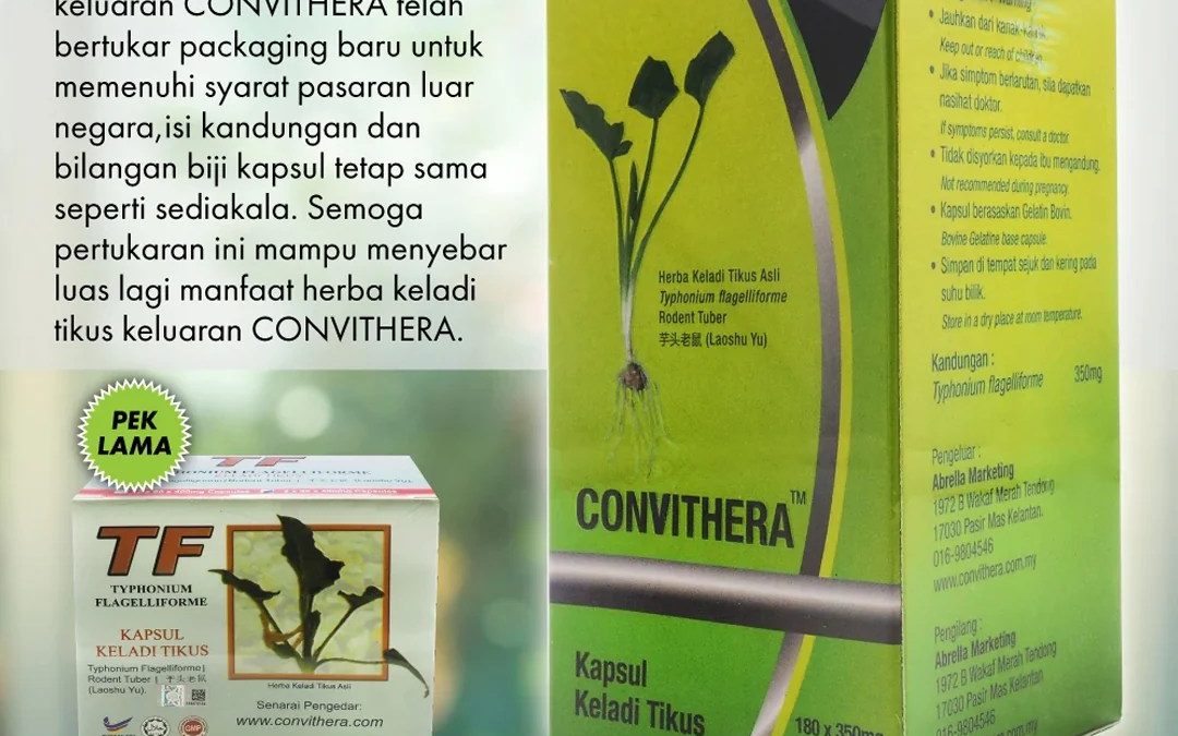 Daun keladi tikus tf - Chloe North