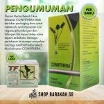 Daun keladi tikus tf - Chloe North