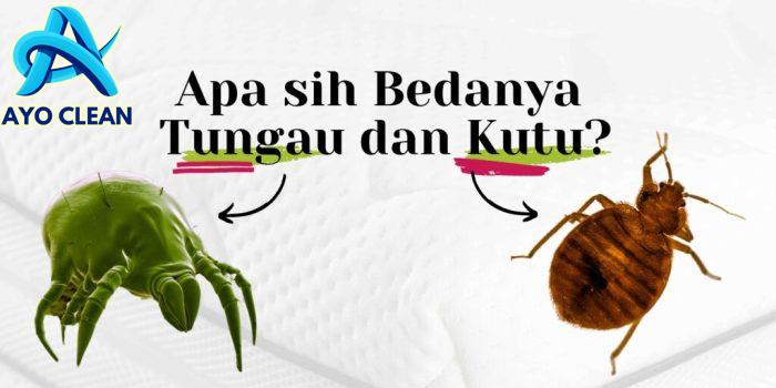Menghilangkan Kutu Pada Spring Bed - Blog JualRumahJakarta.com