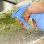 Bertahan dari Serangan Tikus: Panduan Memilih dan Menggunakan Lem Tikus ...