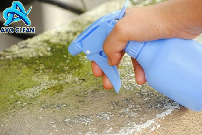 Inilah 7 Cara Ampuh Menghilangkan Lumut di Lantai, Terhindar dari Licin ...