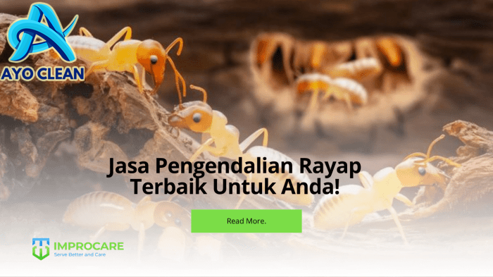 Jasa Pengendalian Rayap Terbaik Untuk Anda! - PT Mahaka Improcare Indonesia