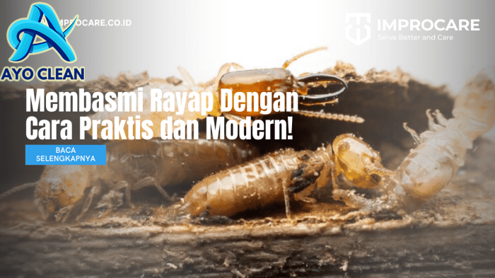 5 Cara Agar Pohon Mangga Cepat Berbuah Meskipun Tanpa Dipupuk Halaman 1 ...