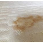 Tips merawat kasur dan cara membersihkan dari jamur - Penjaga Rumah