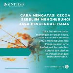 Cara Mengatasi Kecoa Di Rumah - Homecare24