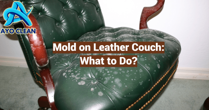 Mold on Leather Couch: What to Do? - LeatherProfy