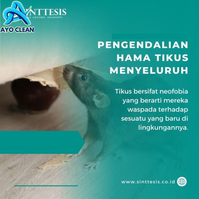 Pengendalian Hama Tikus Menyeluruh - Jabodetabek dan Sukabumi - Sinttesis