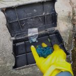 4 Cara mudah membasmi tikus di rumah - PT IKARI Shodoku Indonesia