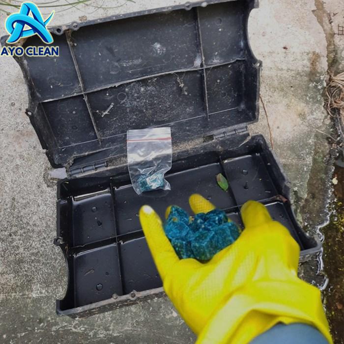 4 Cara mudah membasmi tikus di rumah - PT IKARI Shodoku Indonesia