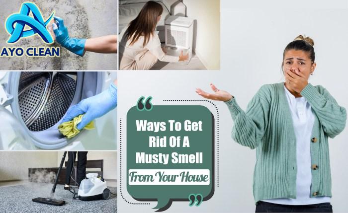 How To Remove Musty Smell From Furniture - Do Dodson Designs