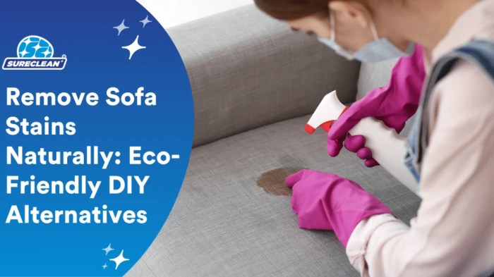 Remove Sofa Stains Naturally: Eco-Friendly DIY Alternatives | Sureclean