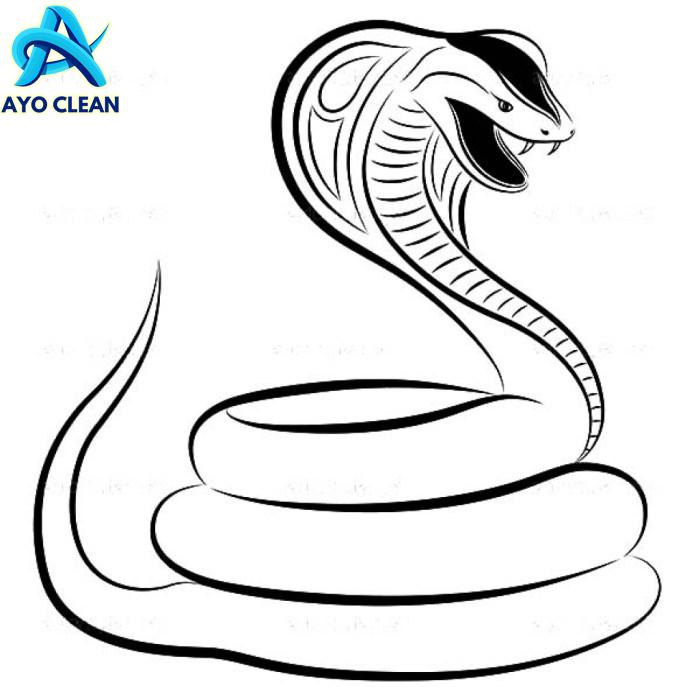 Cara menggambar ular