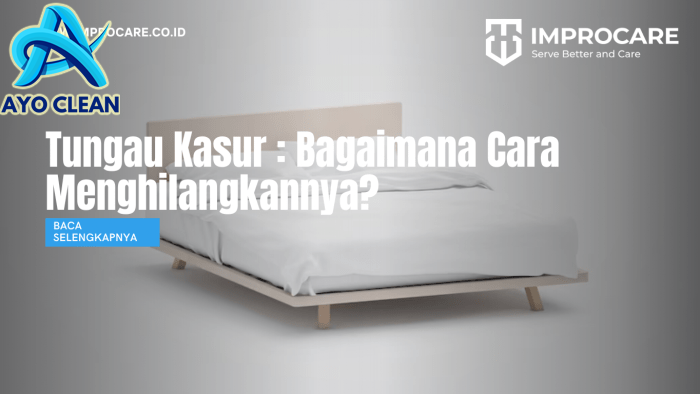 Apa Sih Bedanya Kutu dan Tungau? - Jasa YukBersihin