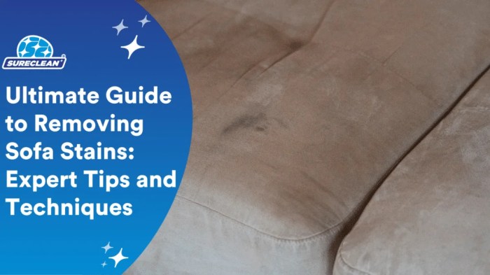 Expert Tips for Sofa Stain Removal: The Ultimate Guide | Sureclean