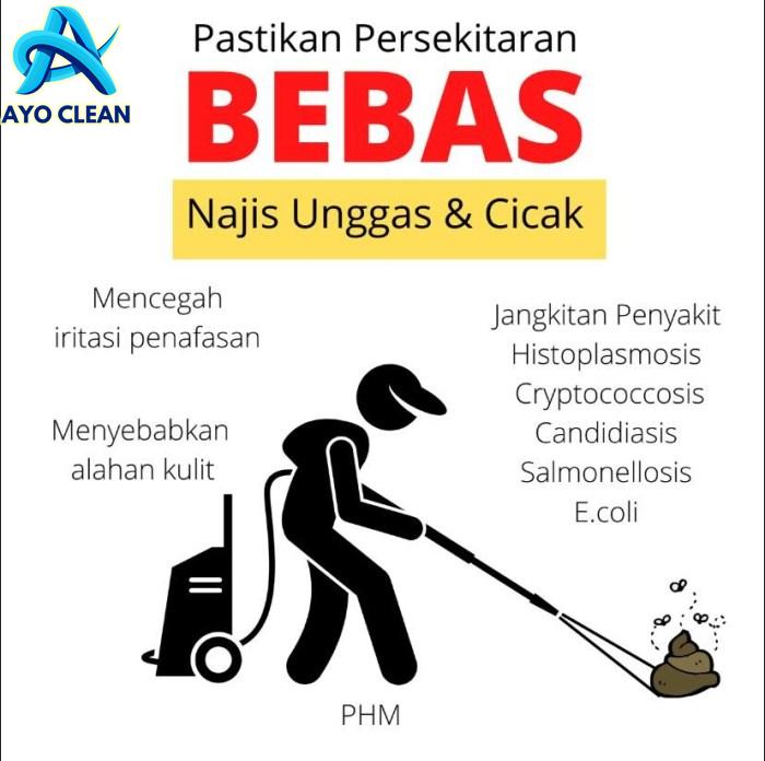 Bahaya najis unggas, tahi cicak - Kosmo Digital