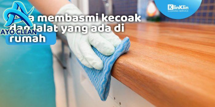 cara membasmi kecoak dan lalat yg ada di rumah - KlinKlin