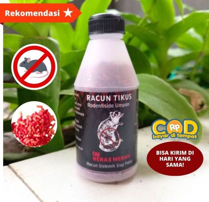 Cara kerja racun tikus beras merah