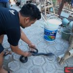 Ular Bertelur - YouTube