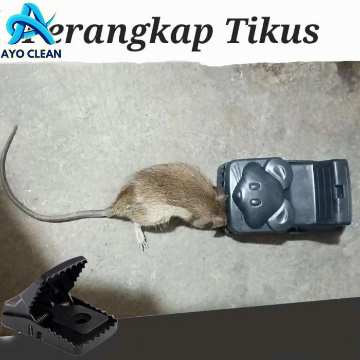 Jual Jebakan Tikus / Perangkap Tikus / Penjebak Tikus / Umpan Tikus ...