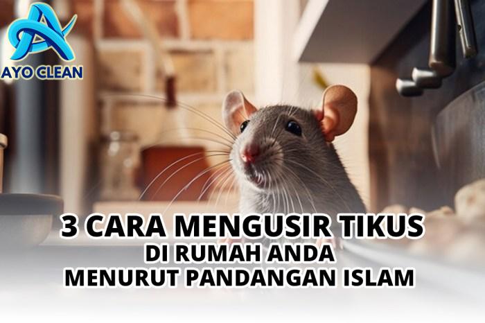 3 Cara Mengusir Tikus di Rumah Anda Menurut Pandangan Islam