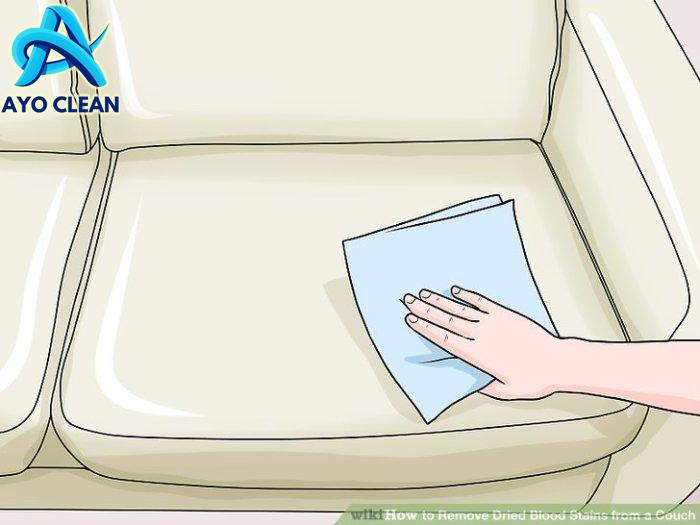How to Remove Dried Blood Stains from a Couch: 15 Steps