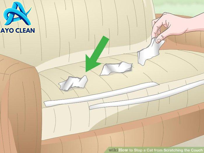 How to Stop Your Cat from Scratching Furniture? | TrendyPet's Zone