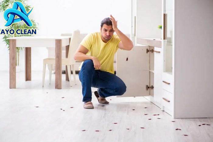 Cara agar kecoa pergi