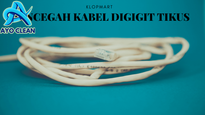 5 Cara Mencegah Kabel Digigit Tikus, Penasaran?