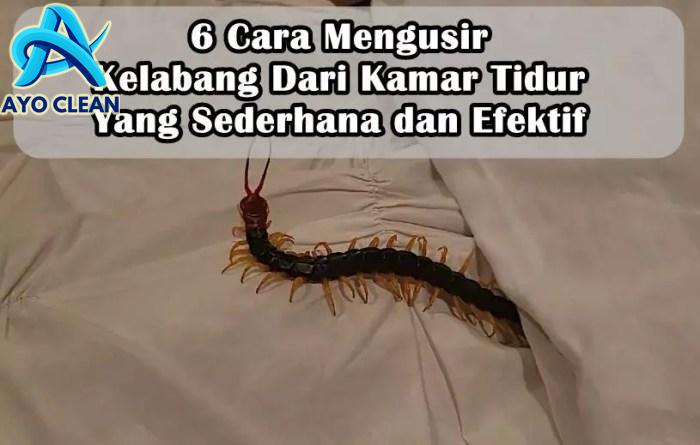 6 Cara Mengusir Kelabang Dari Kamar Tidur Yang Sederhana dan Efektif ...