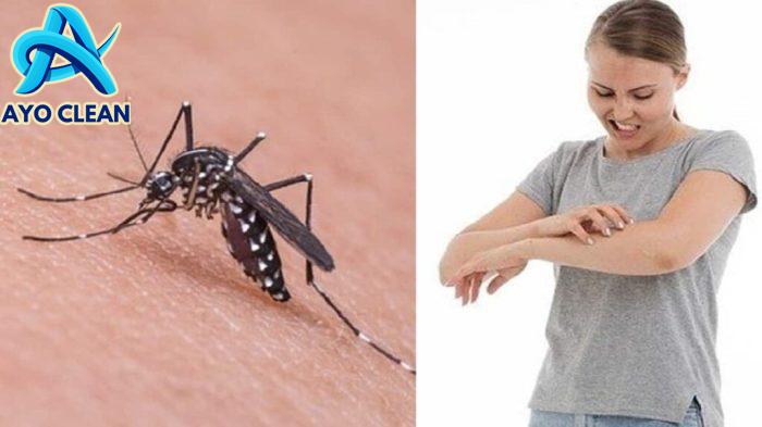 6 Cara Menghilangkan Bekas Gigitan Nyamuk pada Bayi
