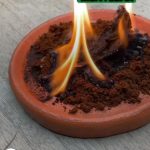 Cara Ampuh Mengusir Serangga Menggunakan Kopi