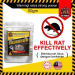 Cara membunuh tikus menurut islam