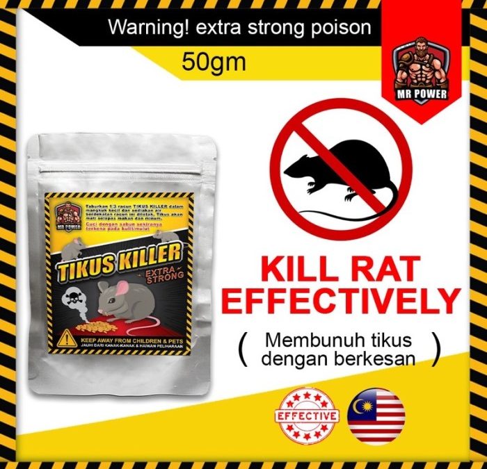 Cara membunuh tikus menurut islam