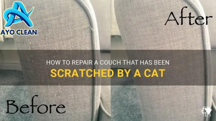 How To Repair A Couch That Has Been Scratched By A Cat | PetShun