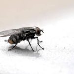 Rekomendasi Merk Pembersih Lantai Terbaik