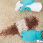 Cara membersihkan karpet