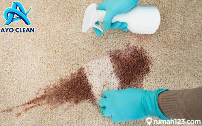 Cara membersihkan karpet hotel