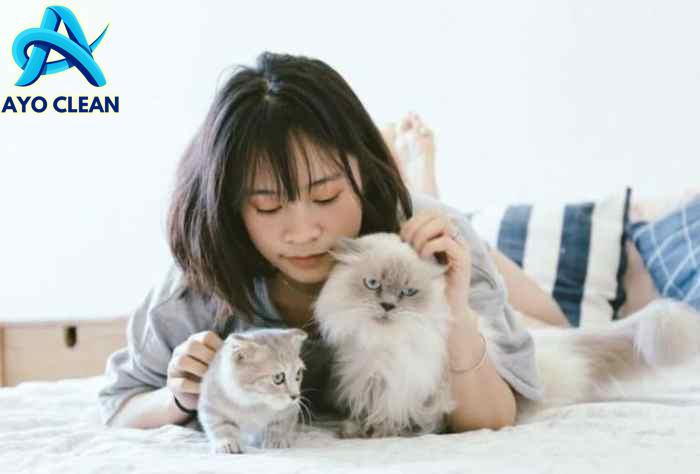 Cara menghilangkan kutu kucing di lantai rumah