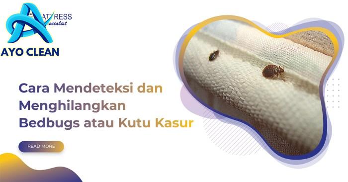 12 Cara Membasmi Kutu Busuk Secara Alami. Terbukti Ampuh!