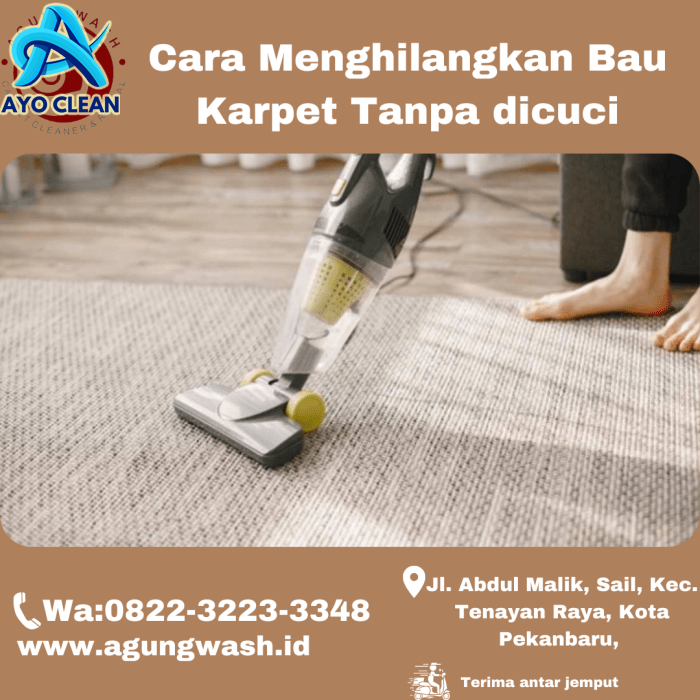 10 Cara Membersihkan Karpet dari Berbagai Noda dan Bau, Segar Tanpa ...