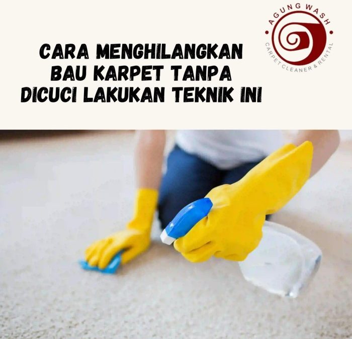 Cara Menghilangkan Bau Karpet Tanpa Dicuci Lakukan Teknik ini (docdroid ...