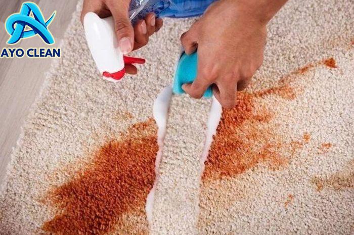 Jangan Ditunda, Begini Cara Membersihkan Karpet yang Kotor Setelah ...