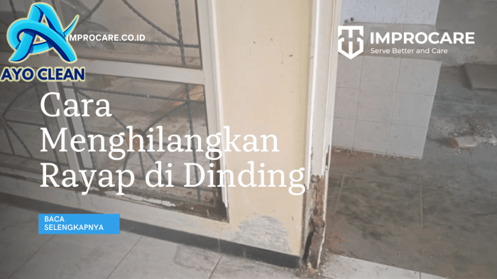 Cara menghilangkan rayap di lantai