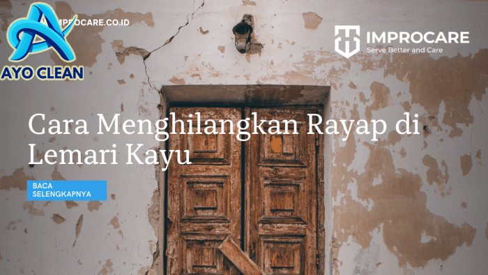 Cara Mengusir dan Membersihkan Rayap dari Lemari Kayu Tanpa Repot ...