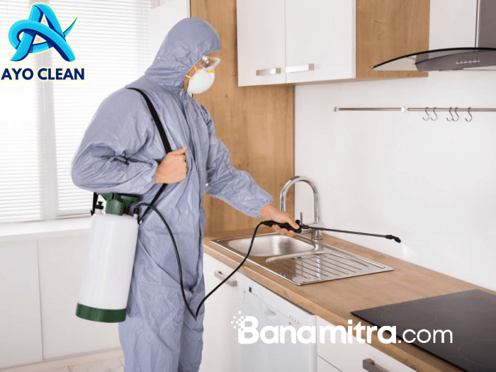 Cara membersihkan bekas rayap