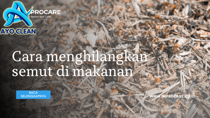 Cara menghilangkan semut di makanan! - PT Mahaka Improcare Indonesia