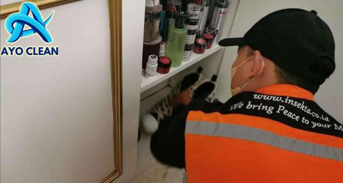 Cara mengusir kecoa di mobil