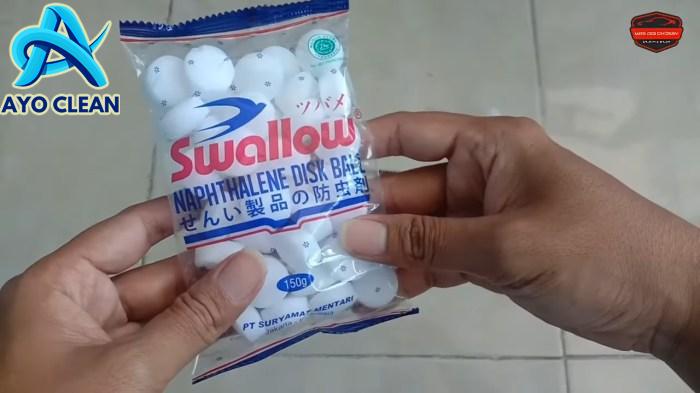 Cara Membasmi Kecoa yang Bersarang di Celah-celah Kamar Mandi Pakai ...