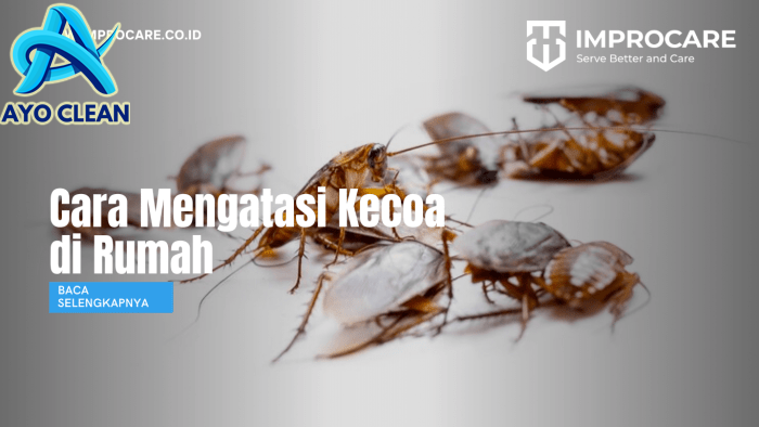 Cara adaptasi kecoa